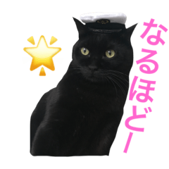 [LINEスタンプ] 黒猫くまごろう 2