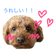 [LINEスタンプ] はる太くん