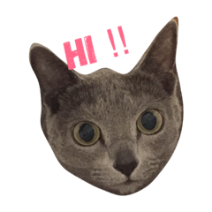 [LINEスタンプ] ふーちゃん♡