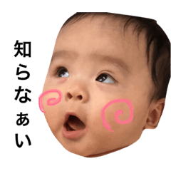 [LINEスタンプ] 我が家のソラくん