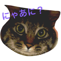[LINEスタンプ] ぺこ＆ぽこ