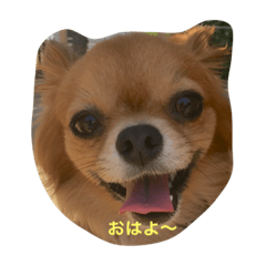 [LINEスタンプ] モン