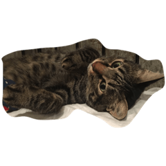 [LINEスタンプ] ちろです