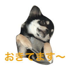 [LINEスタンプ] ももだけど？！