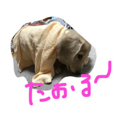 [LINEスタンプ] りょーー