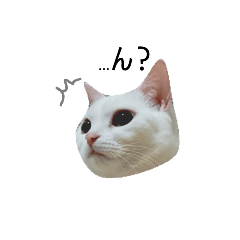 CC(17.134)