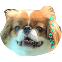 [LINEスタンプ] 超可愛いワンコ笑