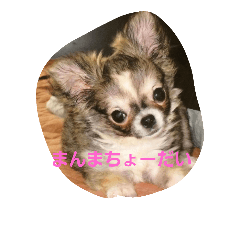 [LINEスタンプ] ベビーのんちゃん