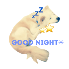 [LINEスタンプ] じょんとらい