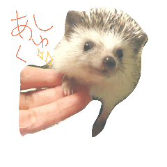 [LINEスタンプ] 柚子★スタンプ