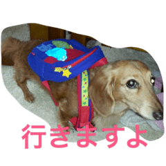 [LINEスタンプ] やんさんの日常