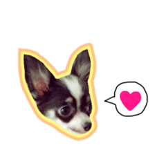 [LINEスタンプ] チワワのリンちゃん