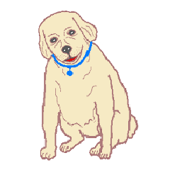 [LINEスタンプ] ゴールデンレトリバーによる24の会話