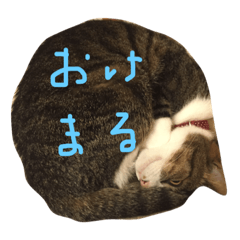 [LINEスタンプ] テトスタンプ