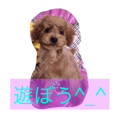 [LINEスタンプ] 楽しもーぅ