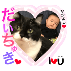 [LINEスタンプ] コロ＆おうちゃん