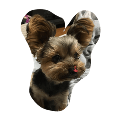 [LINEスタンプ] たからもの
