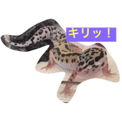 [LINEスタンプ] レオパなマイケルさん2