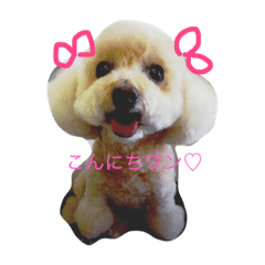 [LINEスタンプ] うちのプー