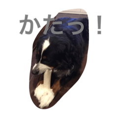 [LINEスタンプ] Love バーニーズ