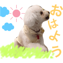 [LINEスタンプ] 愛犬れもん