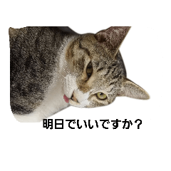 [LINEスタンプ] かわいいランちゃんの家族たち