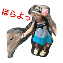 [LINEスタンプ] うちのめんこちゃんズver.2