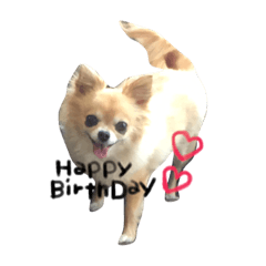 [LINEスタンプ] ここちゃん→