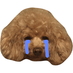 [LINEスタンプ] あんずう