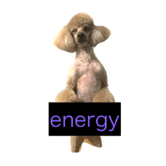 [LINEスタンプ] LUKE _DOGs2