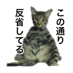 [LINEスタンプ] O家の家族