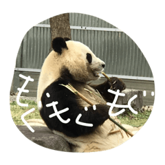 [LINEスタンプ] わくわくどうぶつえん