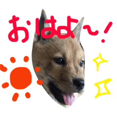 [LINEスタンプ] チビッ虎斗1