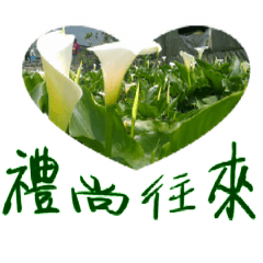 [LINEスタンプ] beautiful pictures:gift