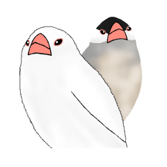 [LINEスタンプ] 普段使い文鳥