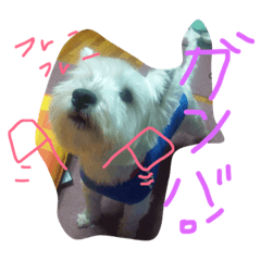 [LINEスタンプ] チロリズム。