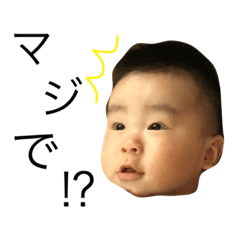 [LINEスタンプ] うちのしょきたん2