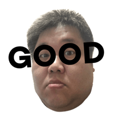 [LINEスタンプ] 私の顔、使ってもいいよ2。