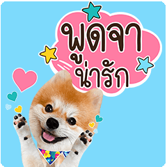 [LINEスタンプ] Fhew Chokchai 4 talk cute.