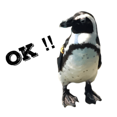 [LINEスタンプ] 生き物たちの一言