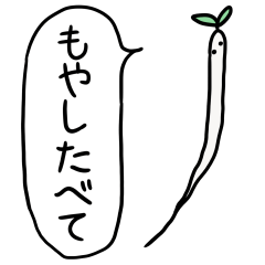 [LINEスタンプ] 毎日食べる！もやしスタンプ