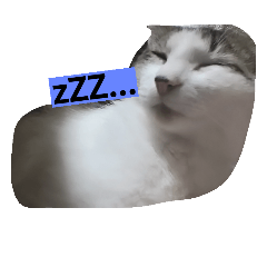 [LINEスタンプ] 癒し系にゃんこ✨ 