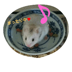 [LINEスタンプ] 可愛い動物たちのキモチ