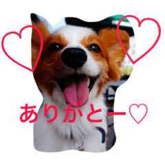 [LINEスタンプ] でかパピ サスケ