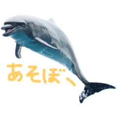 [LINEスタンプ] 海獣たち