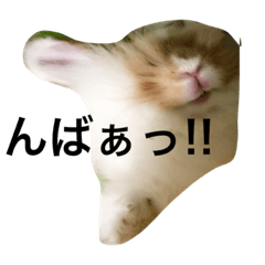 [LINEスタンプ] うさぎのふくさん 2