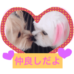 [LINEスタンプ] ウォッちゃんとピッちゃん仲良しスタンプ