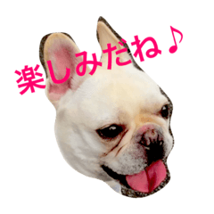 [LINEスタンプ] フレブル小太郎②