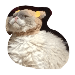 [LINEスタンプ] 巻き毛猫ローディ