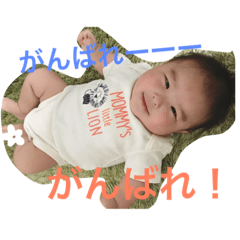 [LINEスタンプ] ねこはる3